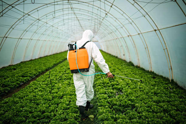 Best Pest Inspection Near Me  in Bay Shore, NY