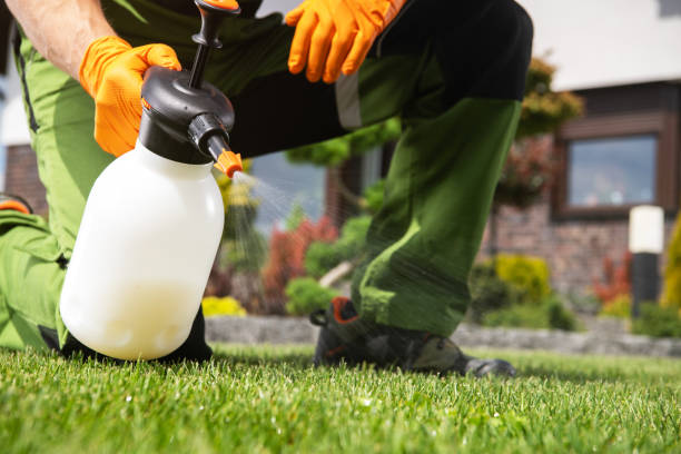 Insect Control in Bay Shore, NY