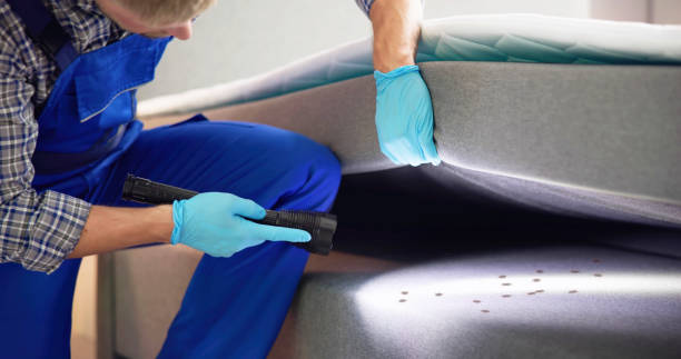 Reliable Bay Shore, NY Pest Control Solutions