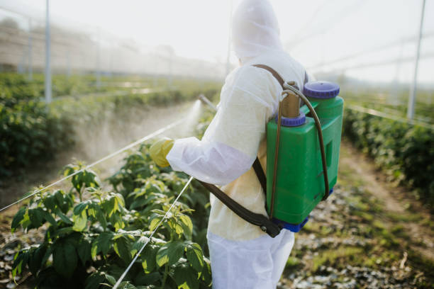 Pest Control Cost in Bay Shore, NY